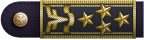 Governor